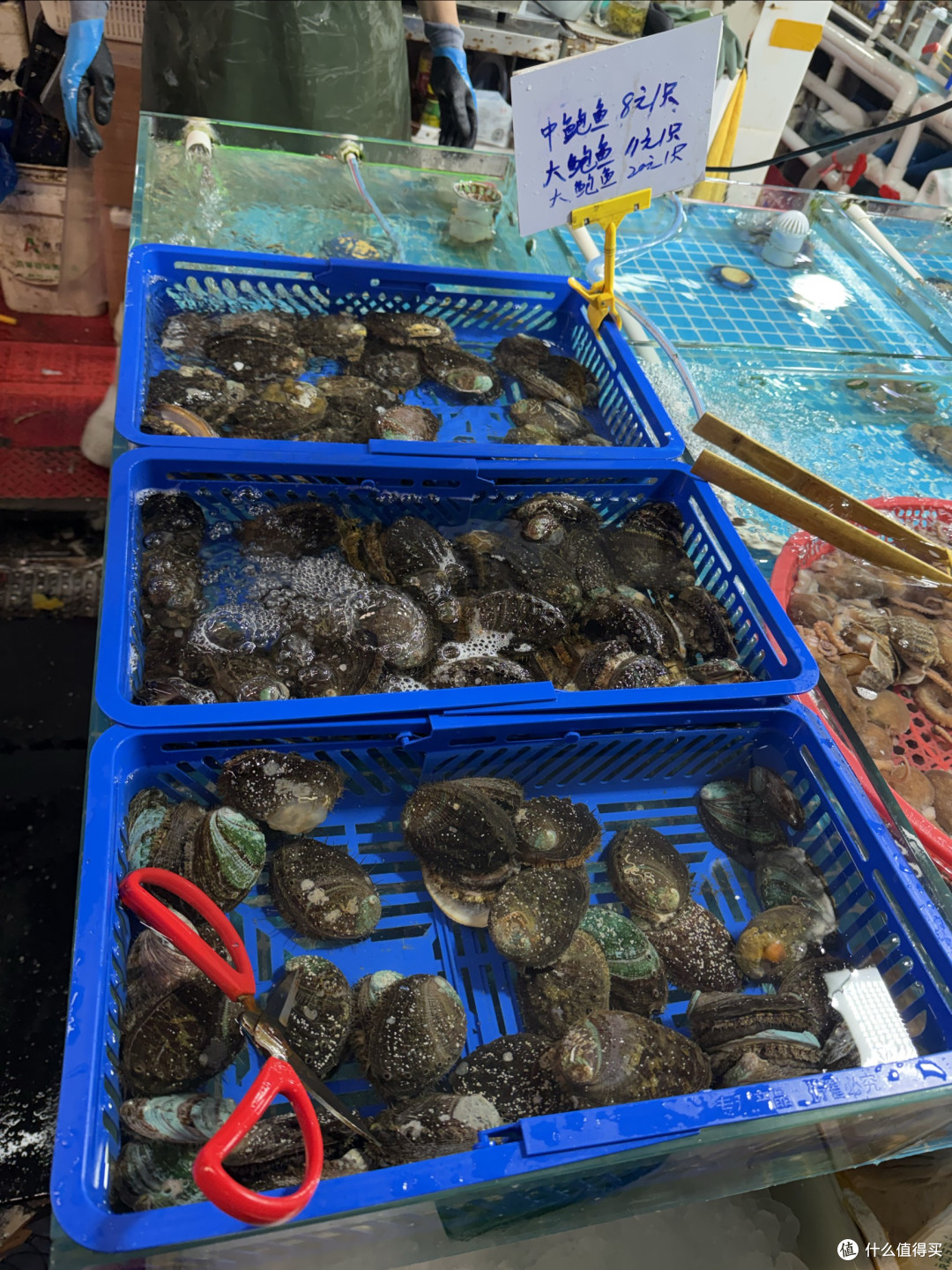 自驾山东江苏:特斯拉跑700km去日照吃海鲜实测