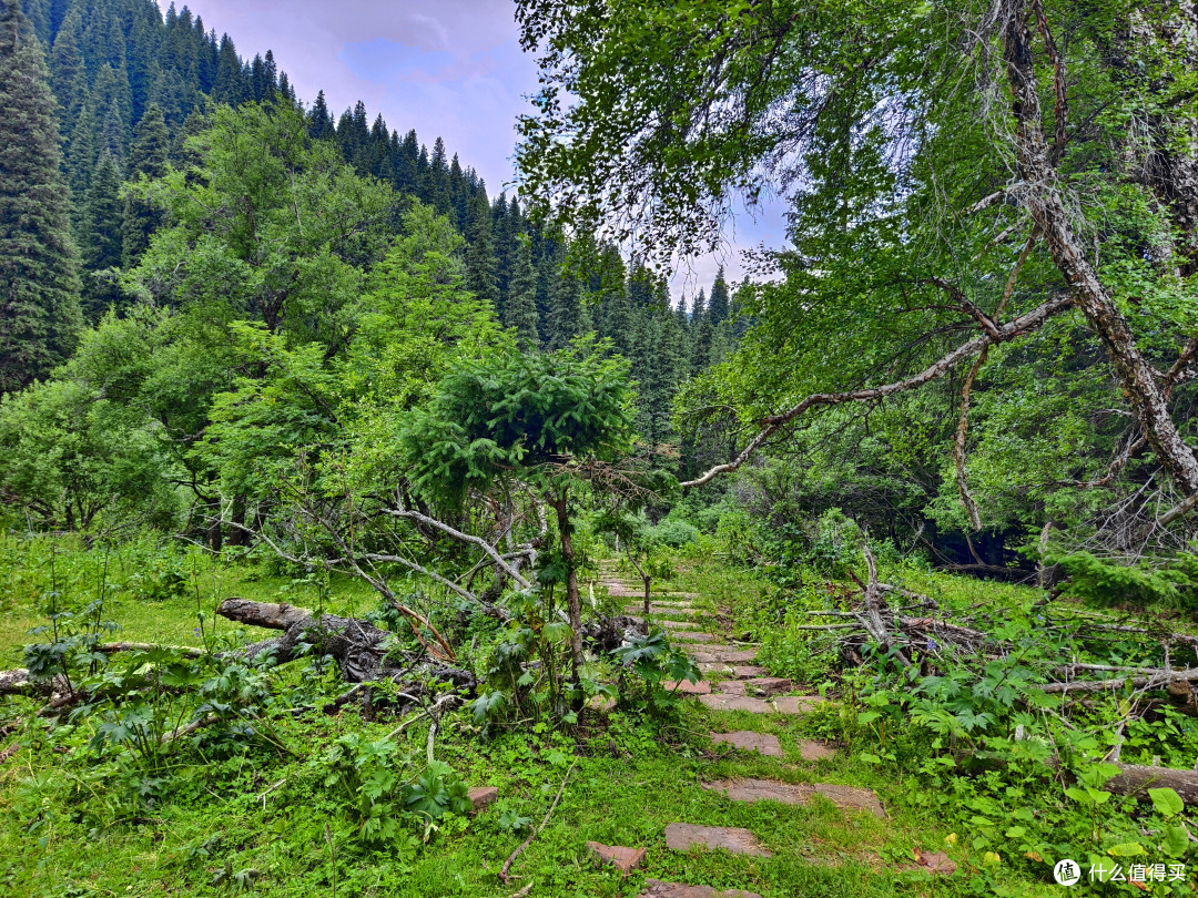 暑假去新疆那拉提,多花100元包场秘境,能徒步到高山草原深处