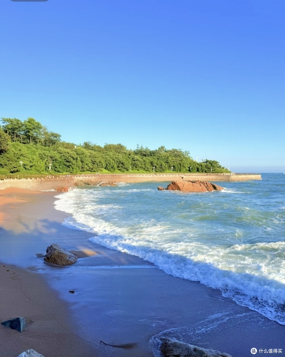 青岛带娃赶海游泳别盲选！实地体验9大正规浴场，听劝少踩坑