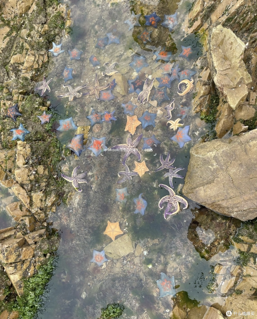 青岛带娃赶海游泳别盲选！实地体验9大正规浴场，听劝少踩坑
