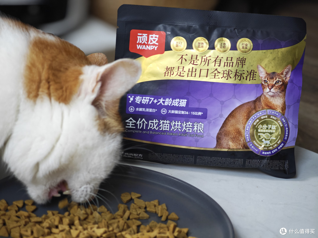 为什么国产老年猫粮这么少？老猫低蛋白低磷喂养真相＋选购攻略