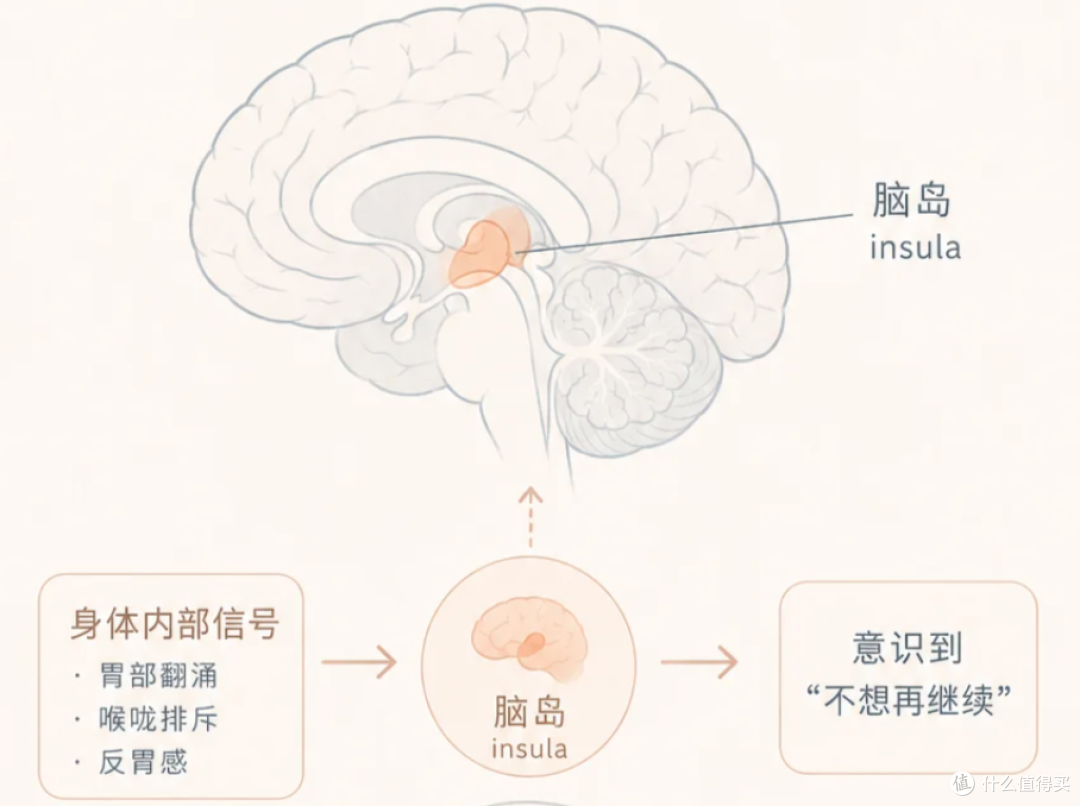 夏天最尴尬的，不是脚臭，是不敢露脚