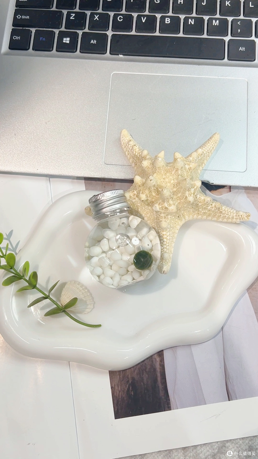 治愈系礼物!这绿球球让我收到瞬间被暖到