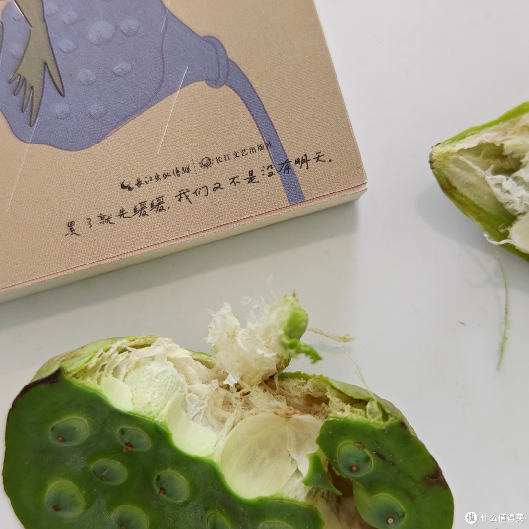 听说夏天看书能静心!这些我喜欢的书,有没有你也喜欢的?