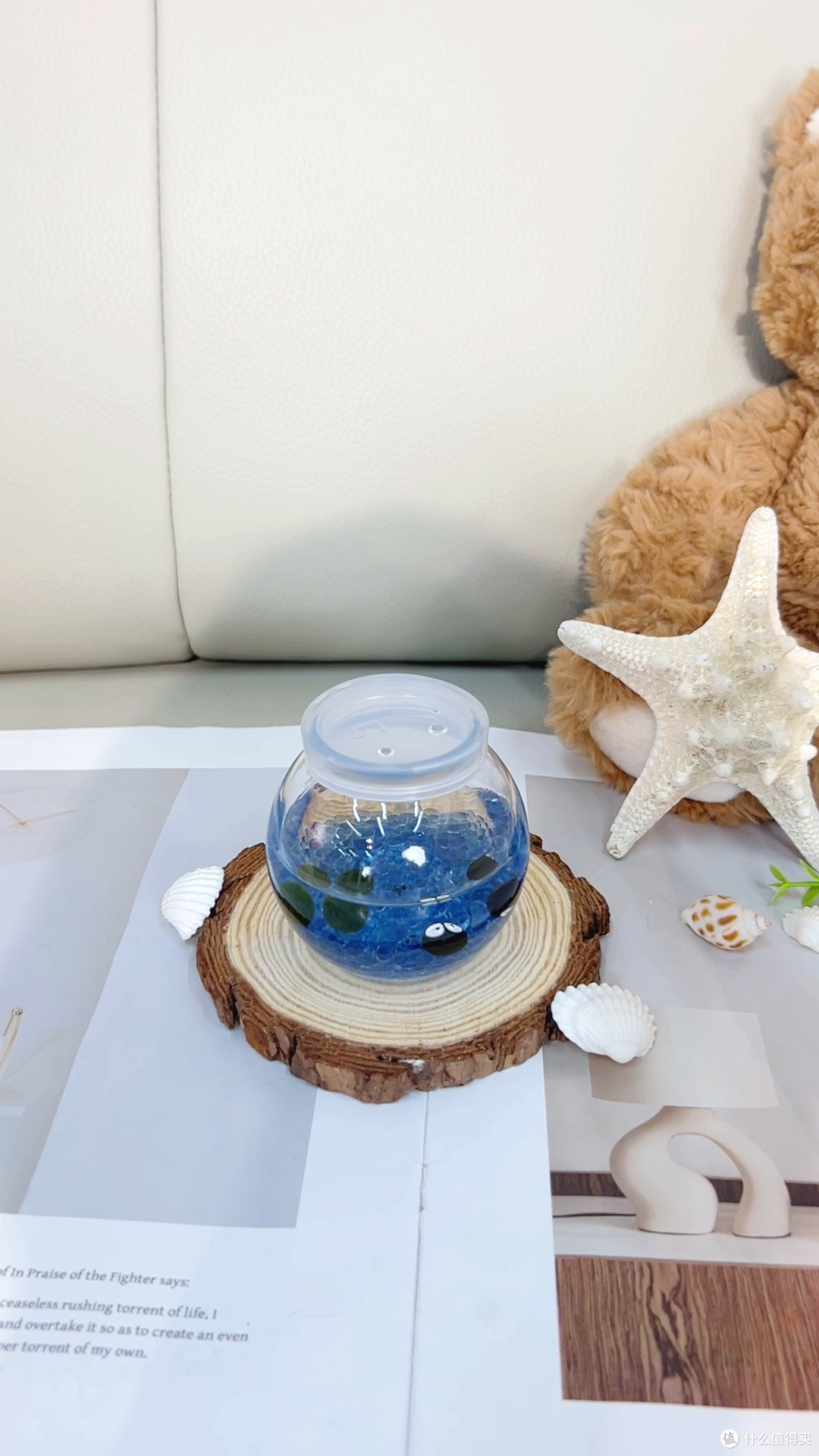 懒人实测风｜绿植杀手救星✅零养护桌面小宠物