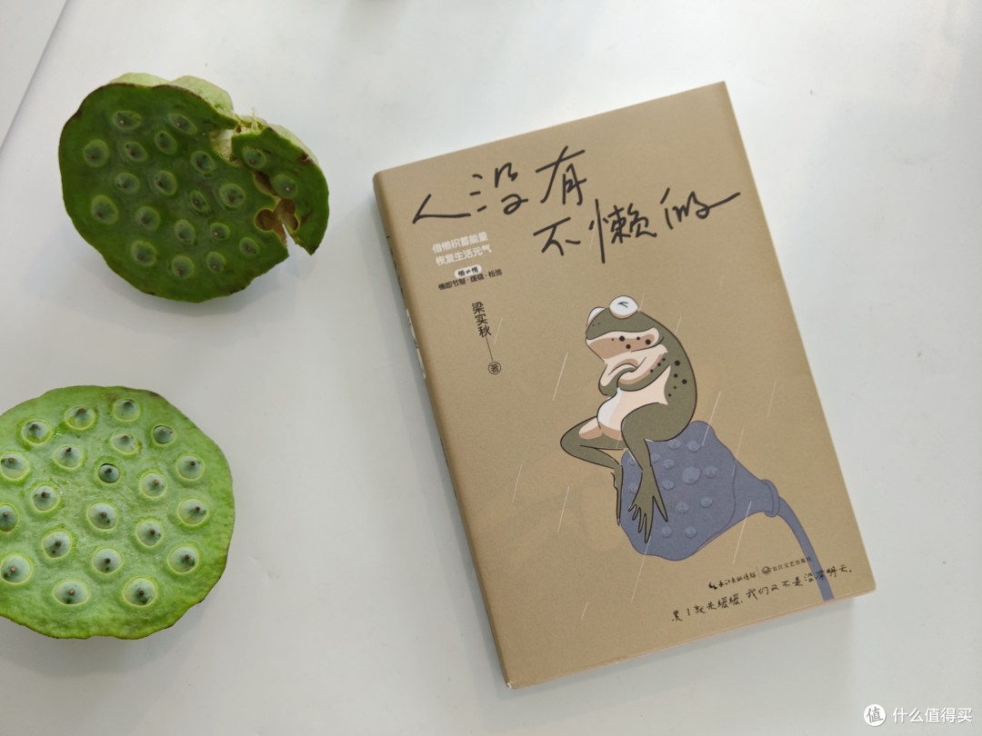 听说夏天看书能静心!这些我喜欢的书,有没有你也喜欢的?