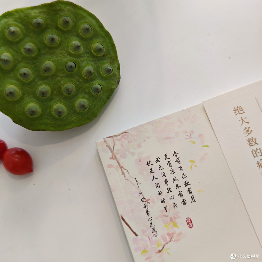 听说夏天看书能静心!这些我喜欢的书,有没有你也喜欢的?