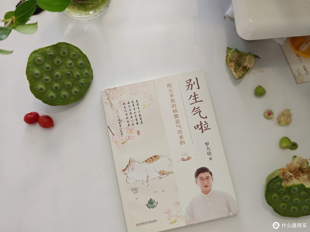 听说夏天看书能静心!这些我喜欢的书,有没有你也喜欢的?