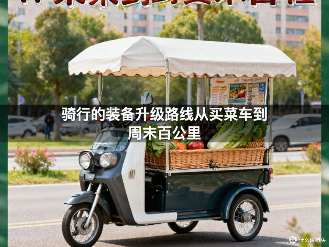 骑行的装备升级路线从买菜车到周末百公里