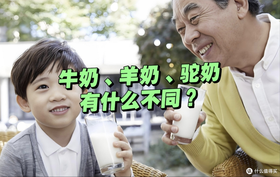 牛奶、羊奶、骆驼奶,到底哪种营养更高?