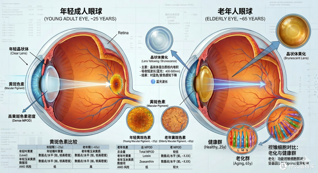 世界性色彩难题“同色异谱失效”逐渐受到重视
