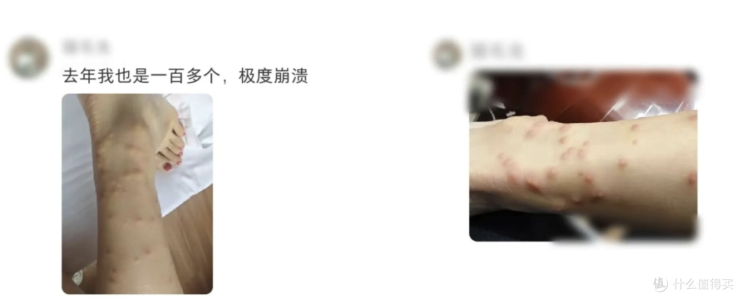 中国凉席在欧洲封神了，但每年夏天都有人因为它去挂皮肤科！