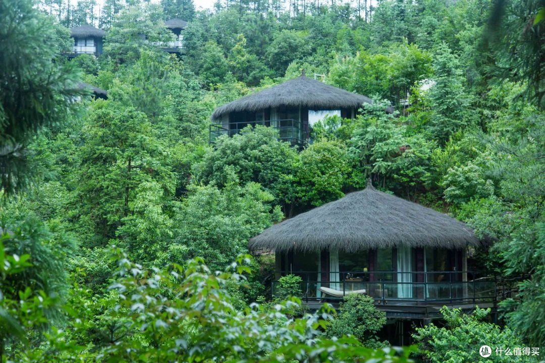 江浙沪周末避世|5家自带独立泳池的山居别墅,进山躺两天