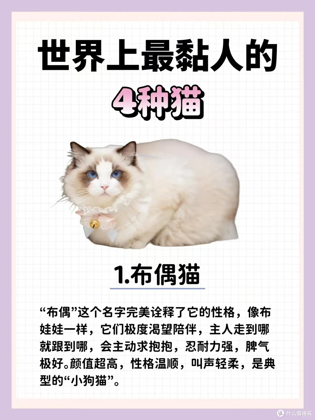 这4种猫“最粘人”,你家猫咪上榜了吗?