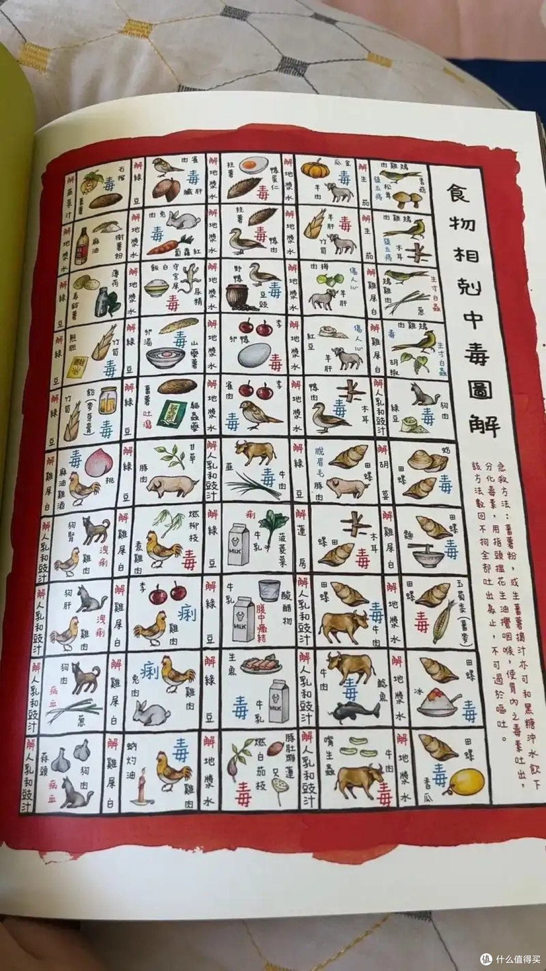 央视辟谣:食物相克都是假的,真正要注意的只有这3组,要牢记