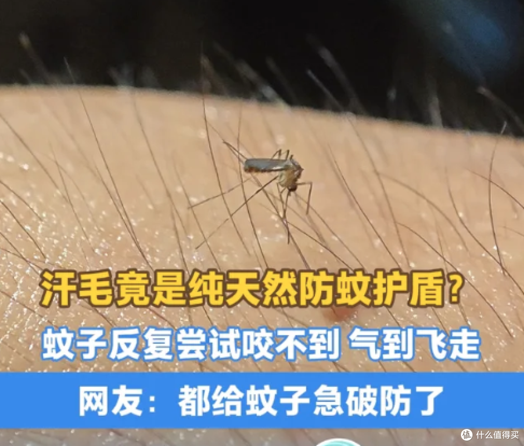 别急着刮！那些被你嫌弃的体毛，其实都在替你“挡灾”