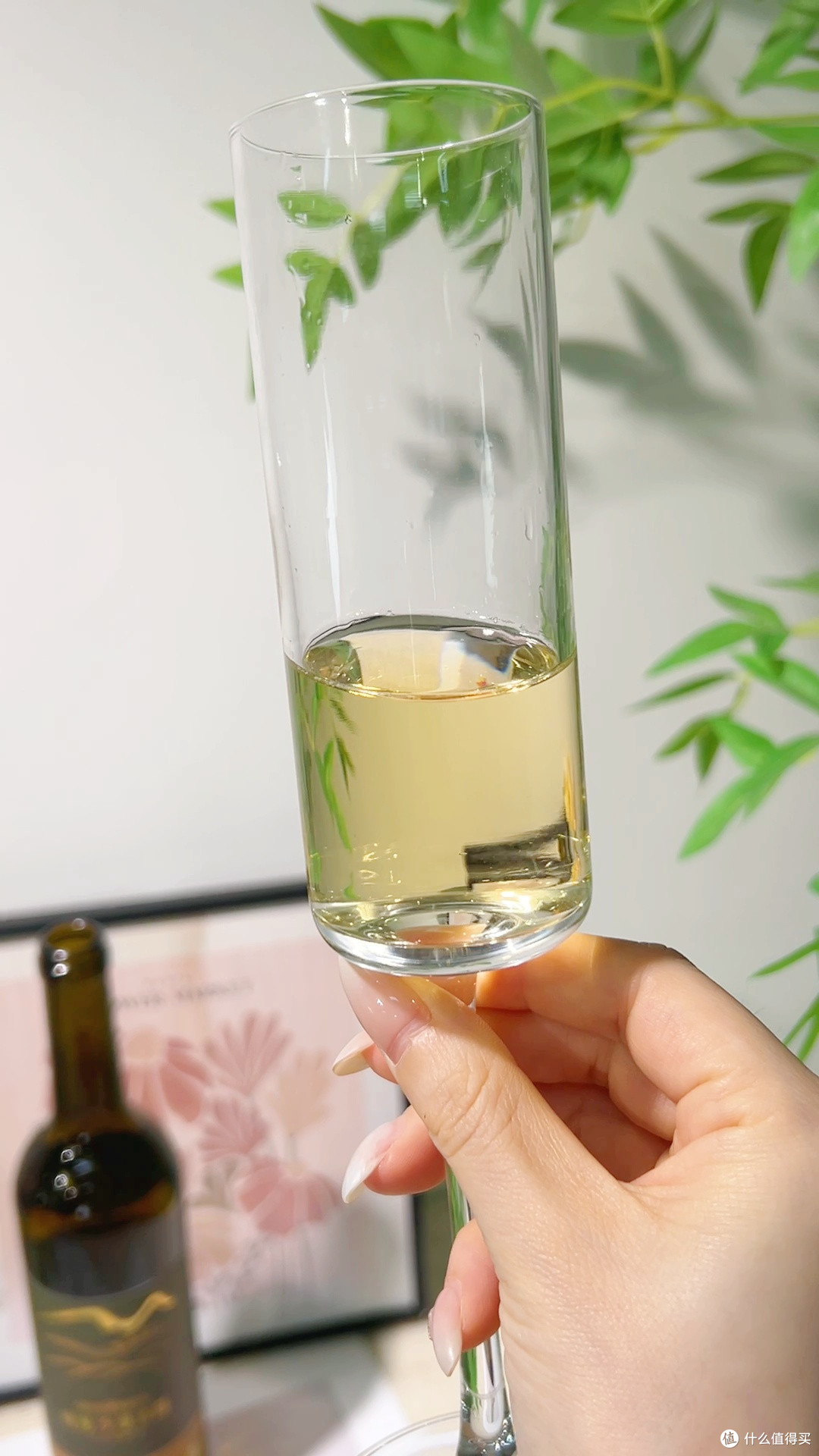 夏日微醺本命✨沙漠酒田干白！果香清爽不酸涩太好喝