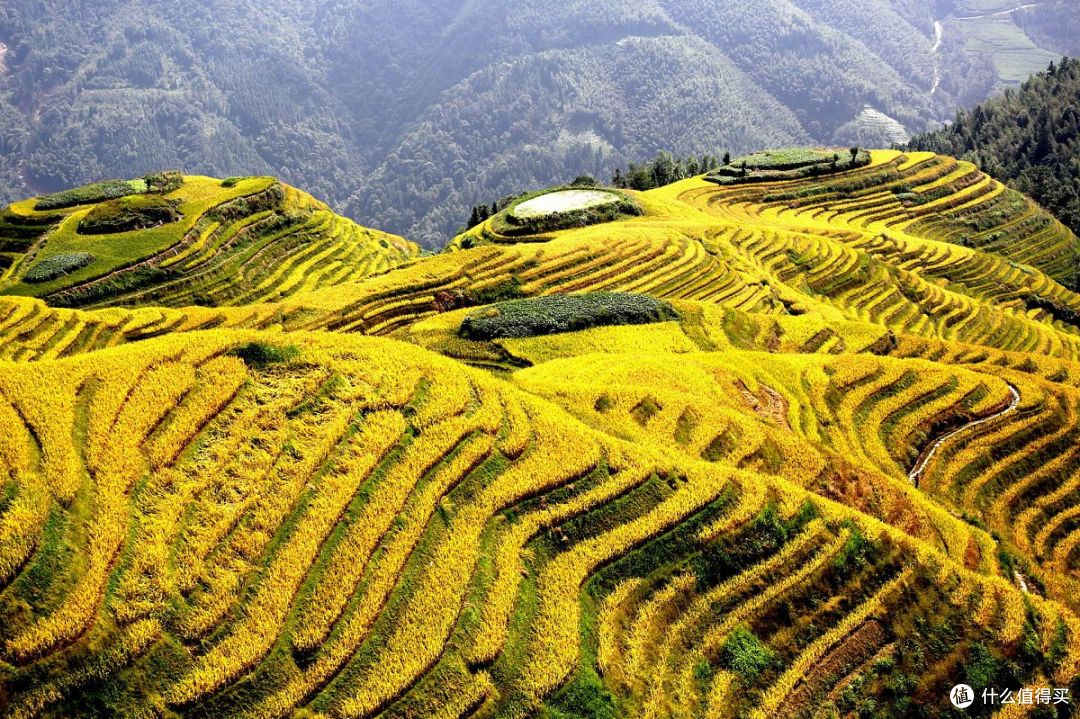 龙脊梯田秋景：中国广西的壮丽画卷