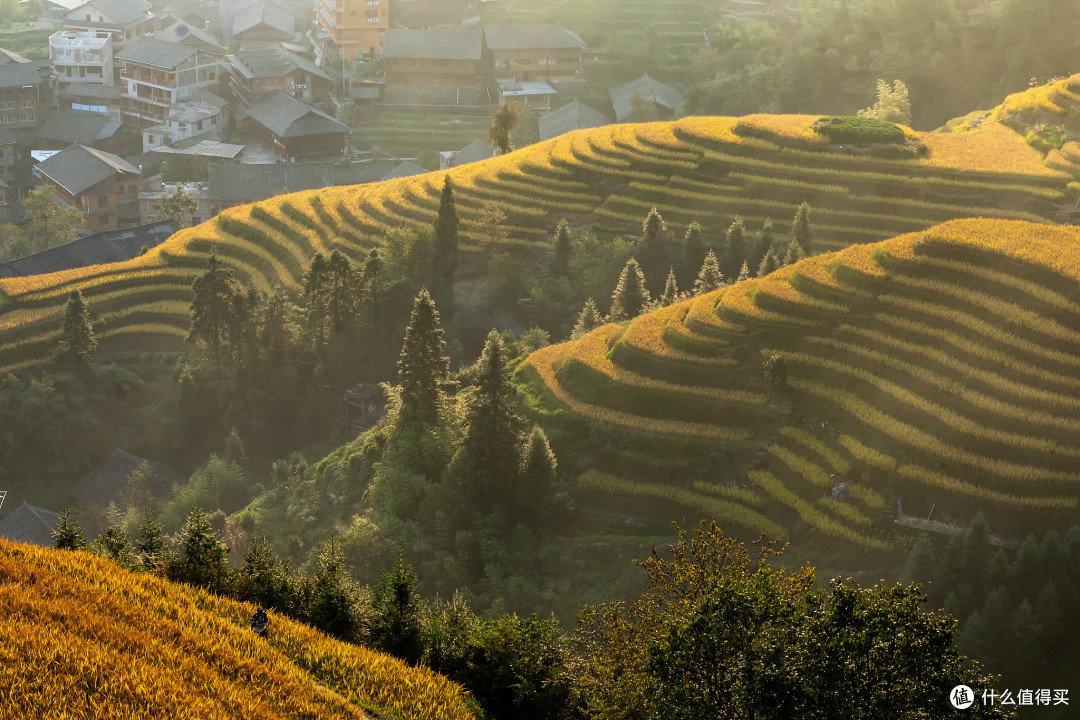 龙脊梯田秋景：中国广西的壮丽画卷