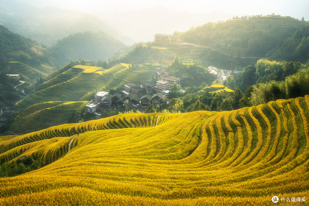 龙脊梯田秋景：中国广西的壮丽画卷