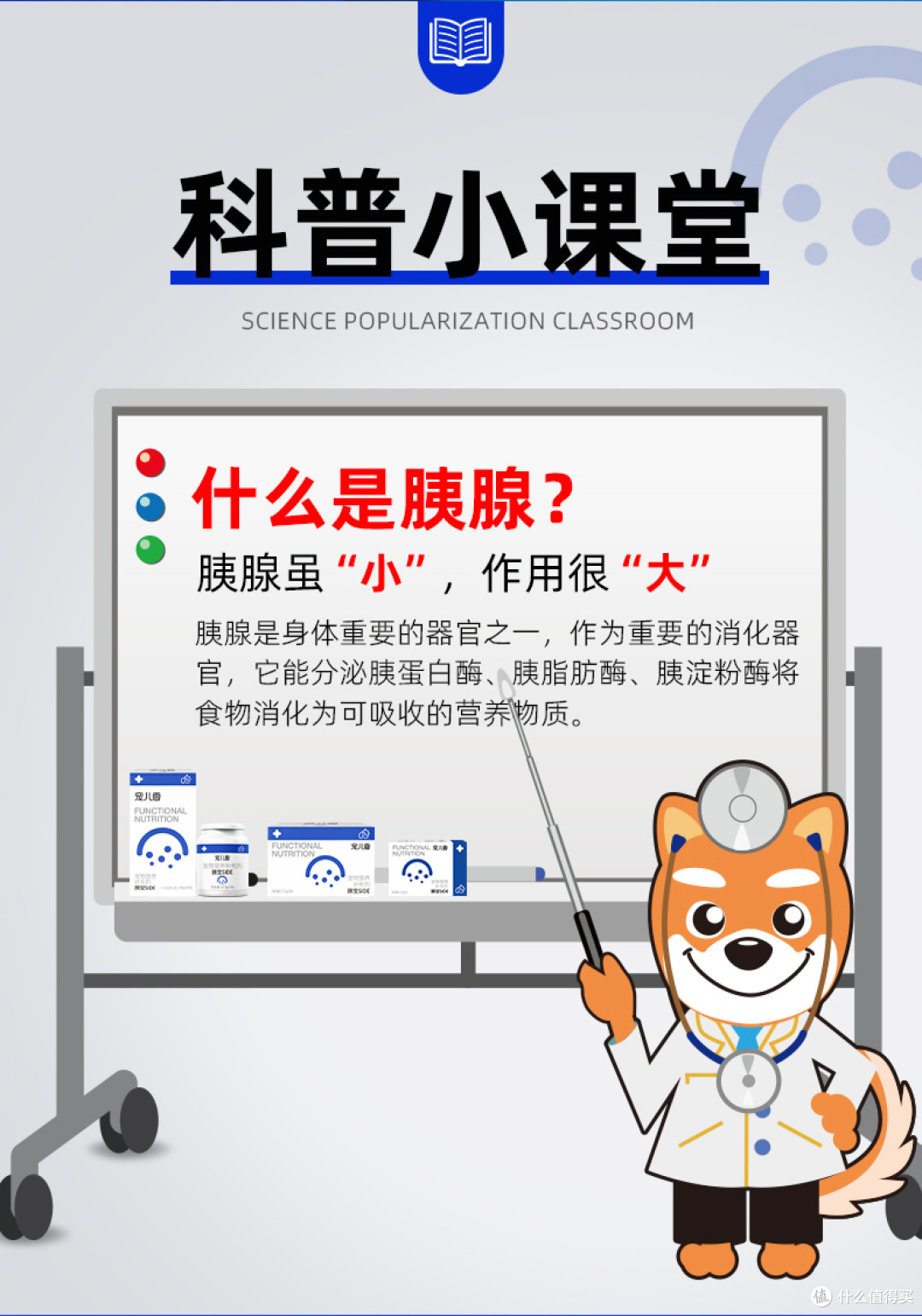 犬猫胰腺外分泌不足的应对方法
