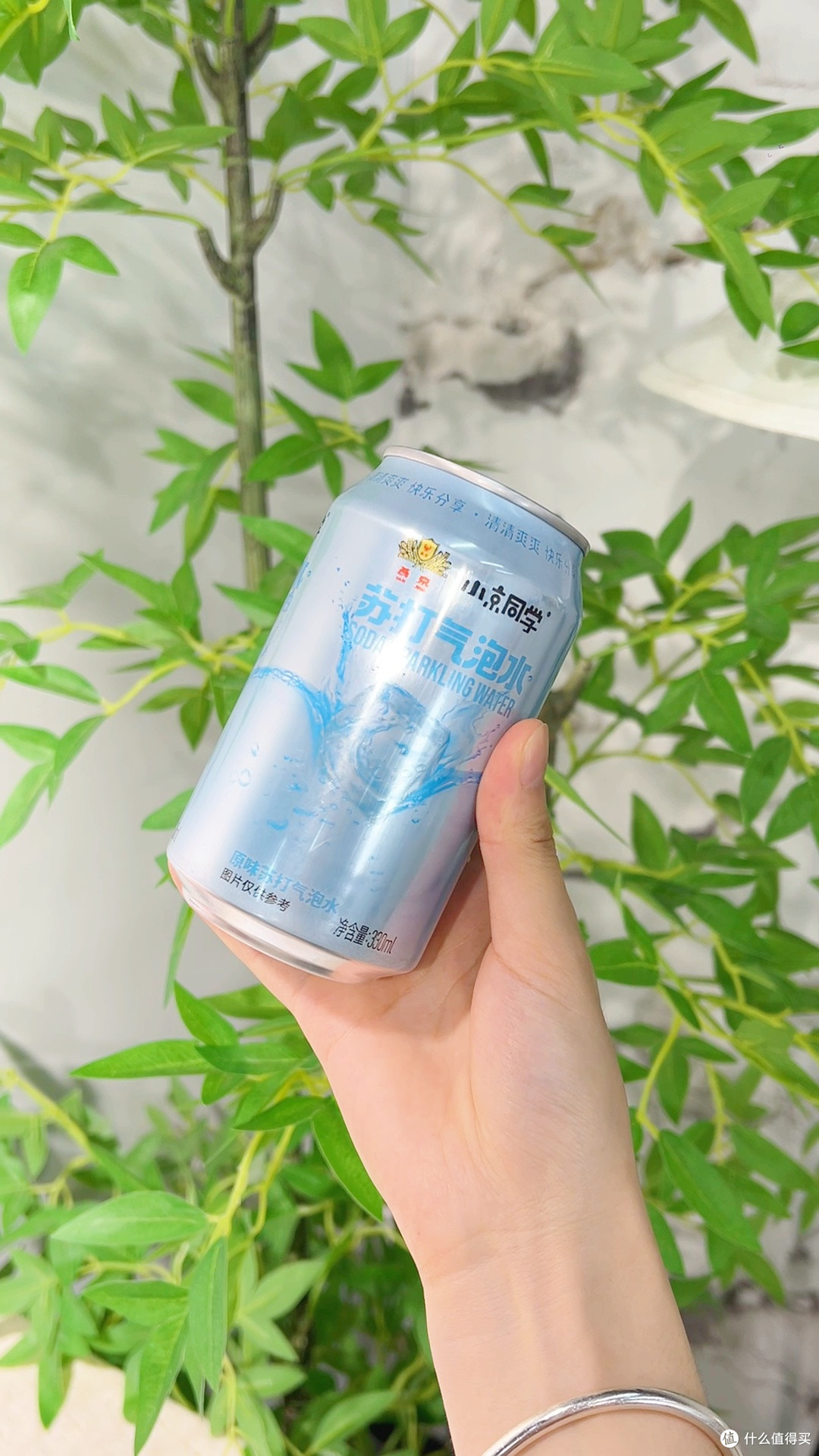 野餐C位担当!这气泡水让我朋友圈点赞破百