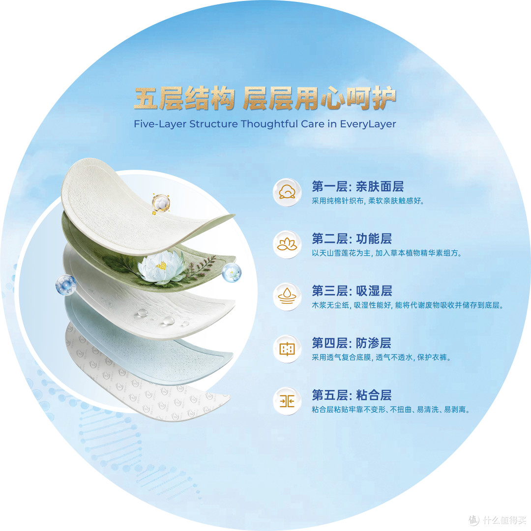 雪莲养护贴是什么？功效、用法、禁忌、选购标准全解析