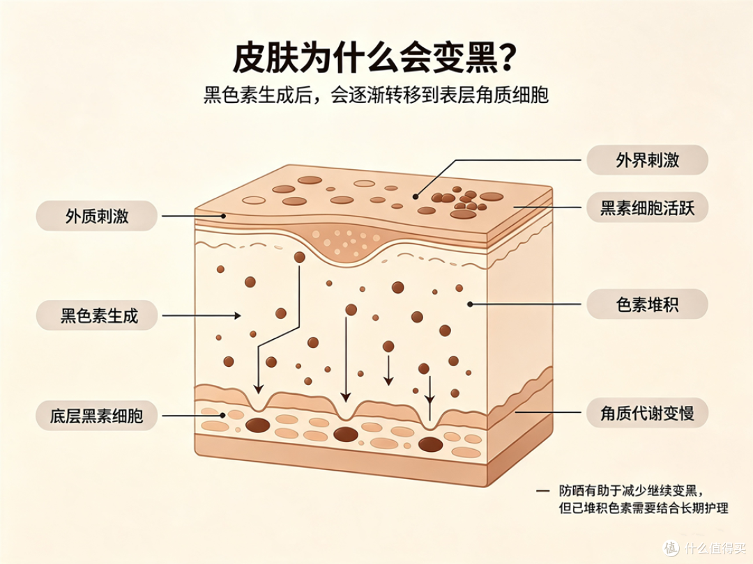 全身美白科普干货丨一文看懂变黑逻辑与褪黑思路