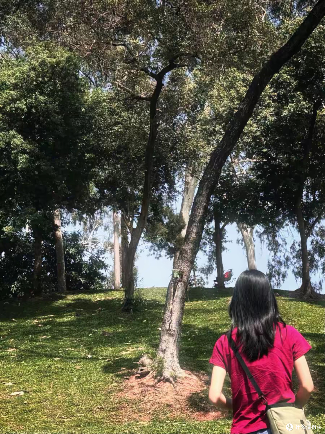 五色正肩竹节棉T,百元内质感天花板💯