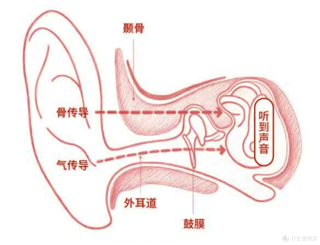 对比骨传导助听器,为什么更推荐老人用气传导?附老爸使用体验