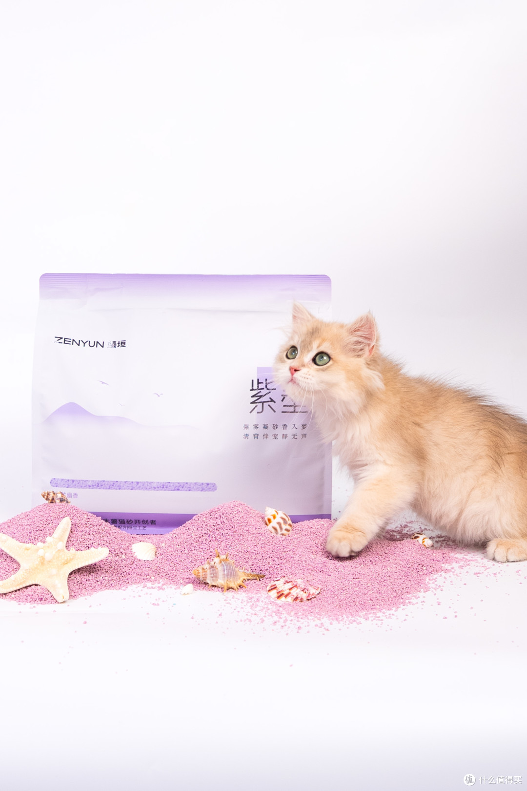 猫咪鼻炎/哮喘容易黑下巴 低敏低尘猫砂怎么选？真实养猫经验分享