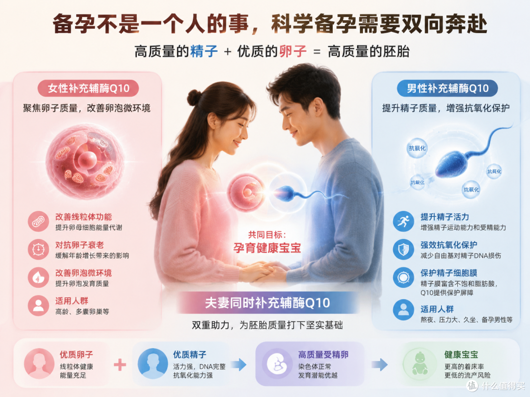 男性备孕也需要辅酶Q10？高仕星辅酶Q10男女同补原理