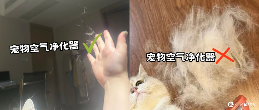 吸猫毛空气净化器哪个牌子好？推荐2026年值得入手的十款