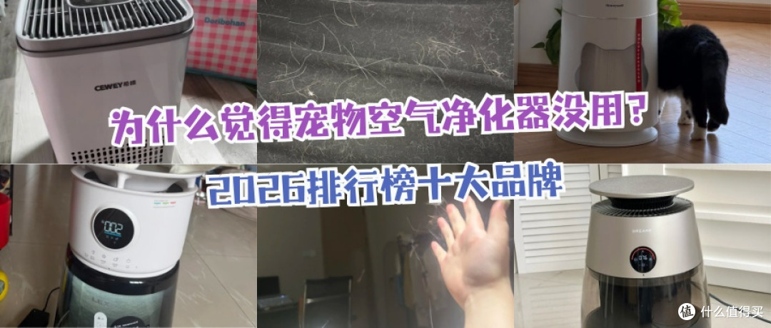 吸猫毛空气净化器哪个牌子好？推荐2026年值得入手的十款