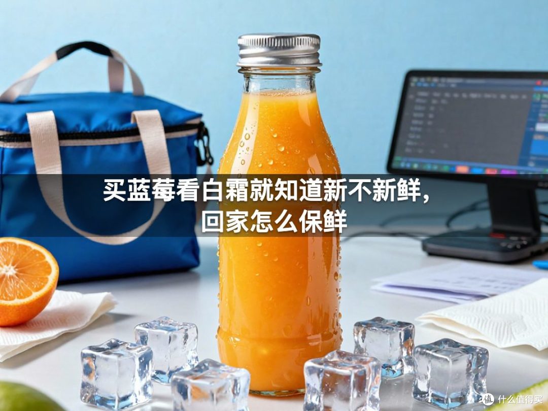 买蓝莓看白霜就知道新不新鲜,回家怎么保鲜