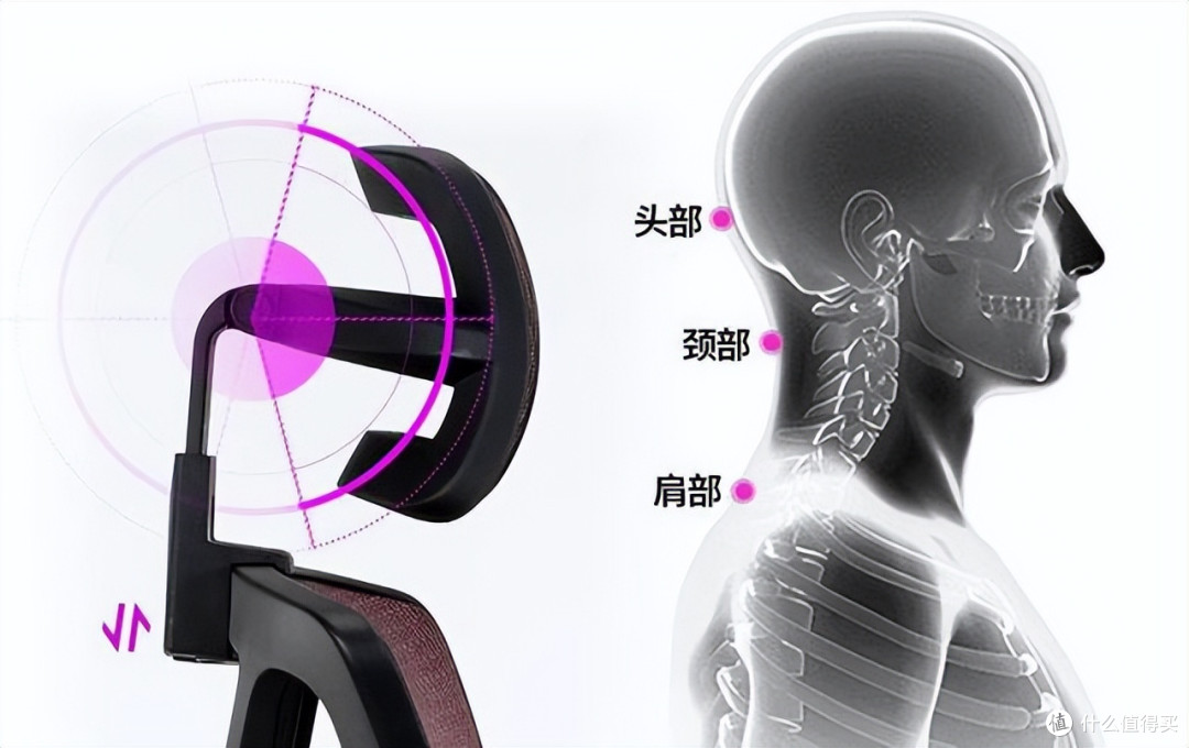 国内人体工程学办公椅哪个品牌好?人体工程学办公椅品牌推荐