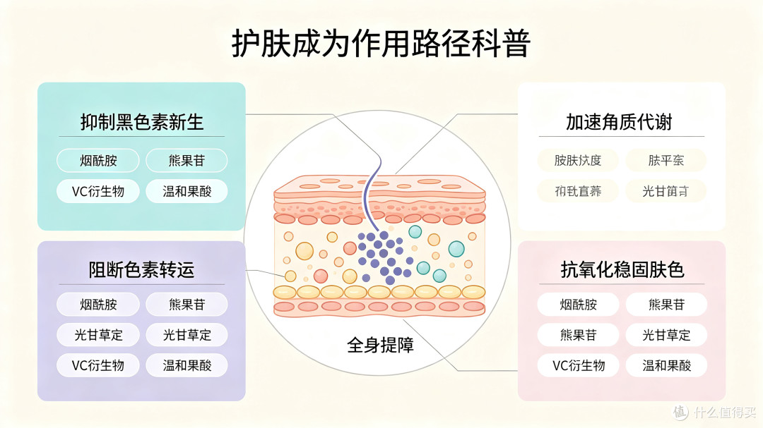 皮肤暗沉发黑？科学搞定全身提亮