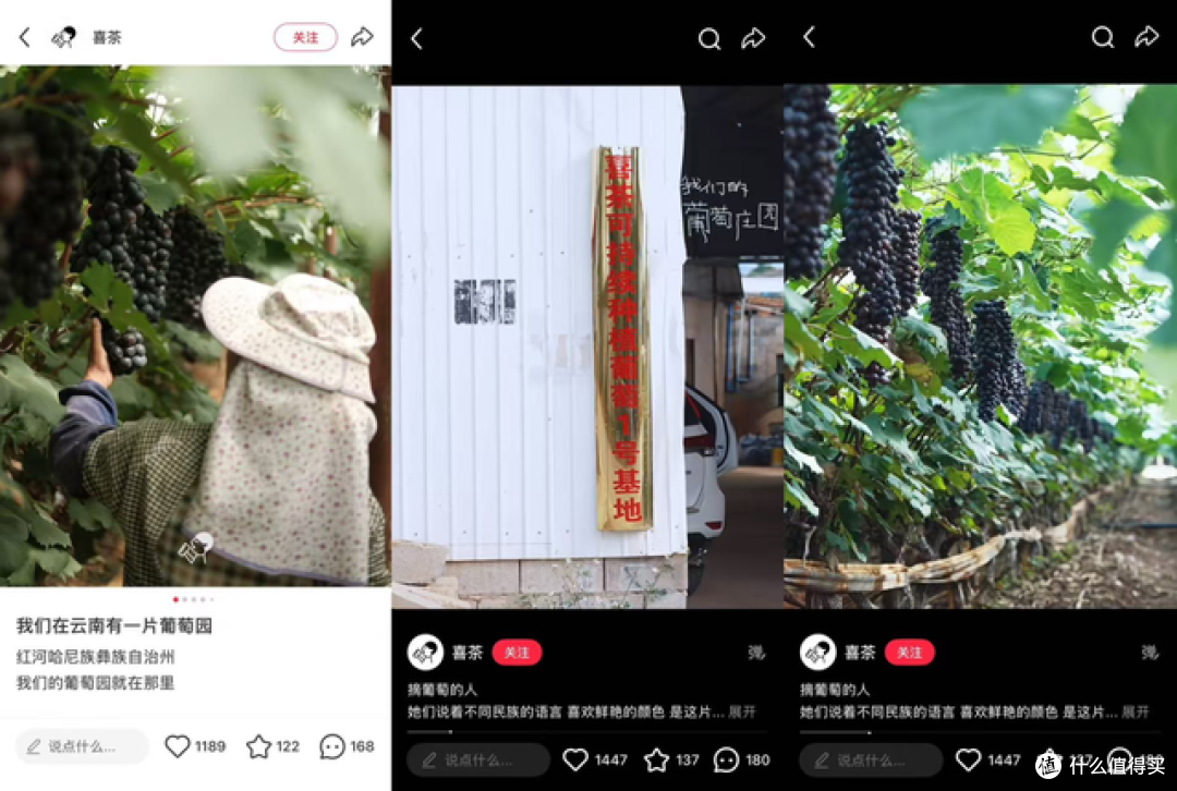 喜茶，开始做“慢生意”