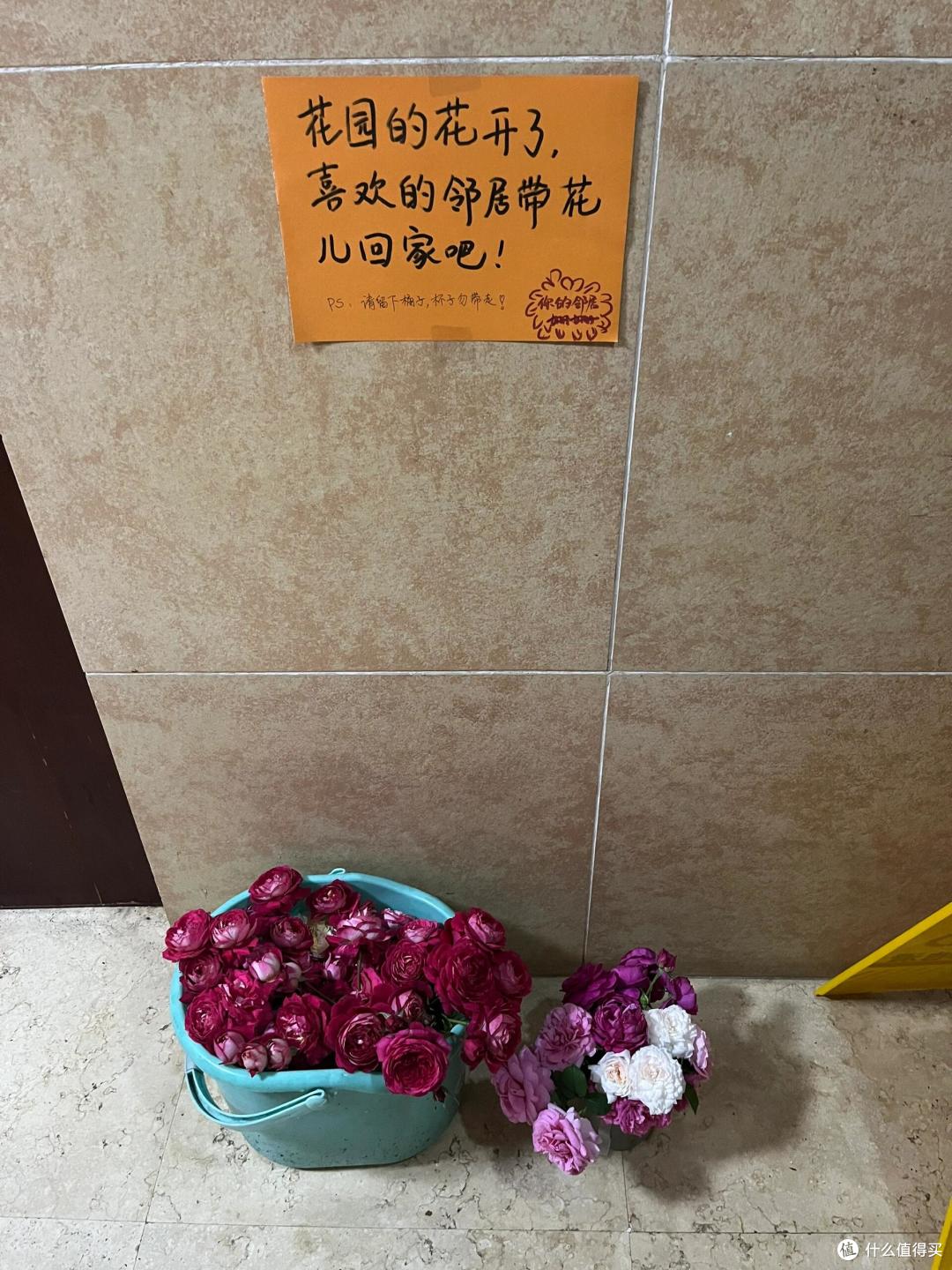 搬进新家才发现:比物业更头疼的,其实是那些一言难尽的邻居!