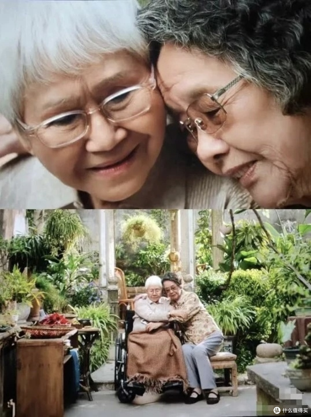哭到半包纸巾没够用!《给阿嬷的情书》绝对是2026暑期档最大黑马