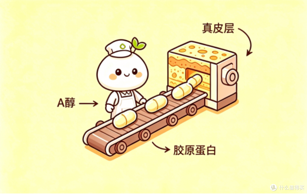 A醇不耐受?胜肽起效慢?纳米微球酶:温和不刺激,源头清自由基