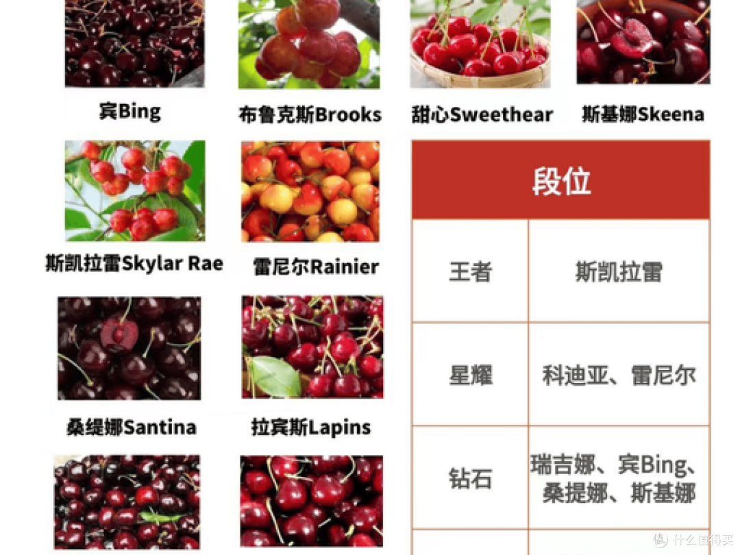 车厘子品种对比图