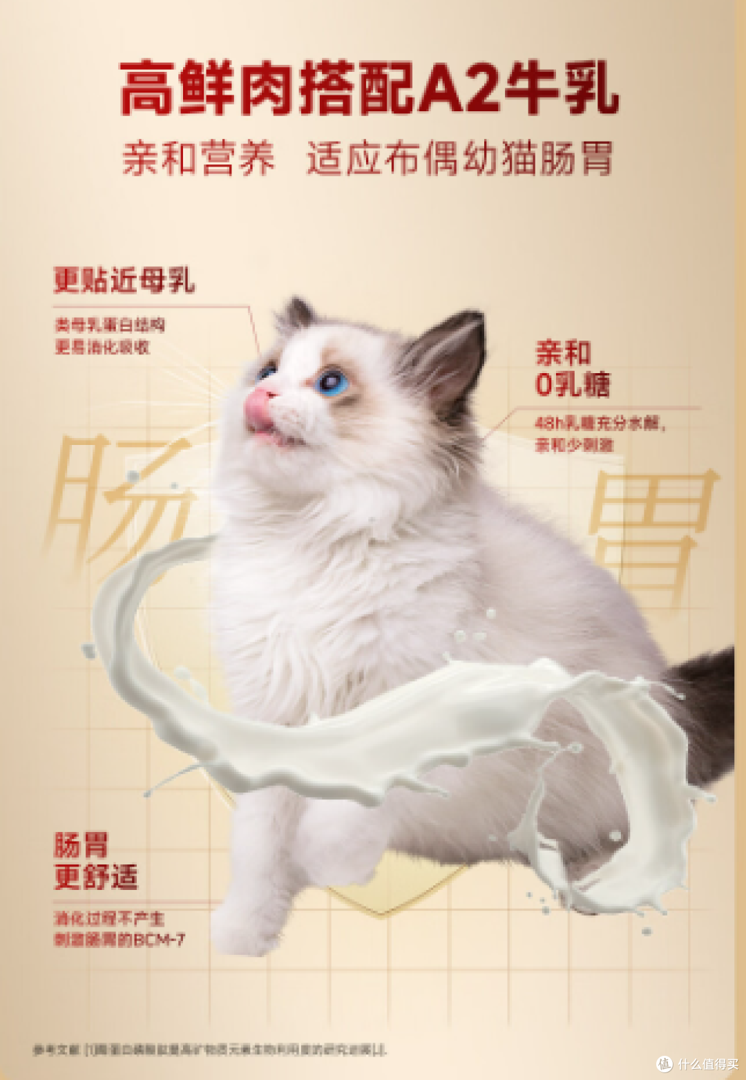 布偶猫挑食软便怎么破?小分子短肽专研配方,布偶饲主安心之选