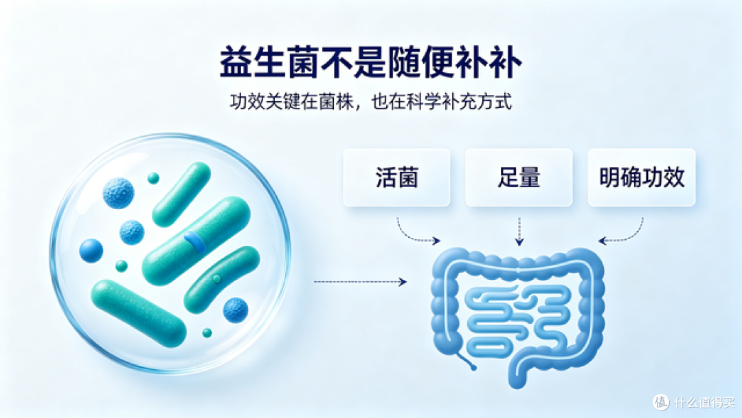 你是否真正了解自己的肠道呢?
