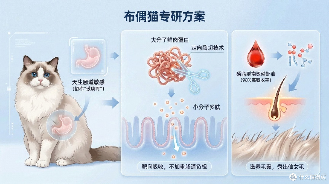 玻璃胃布偶选粮心得:从肠胃到毛发关节全方位照顾,养出好体态