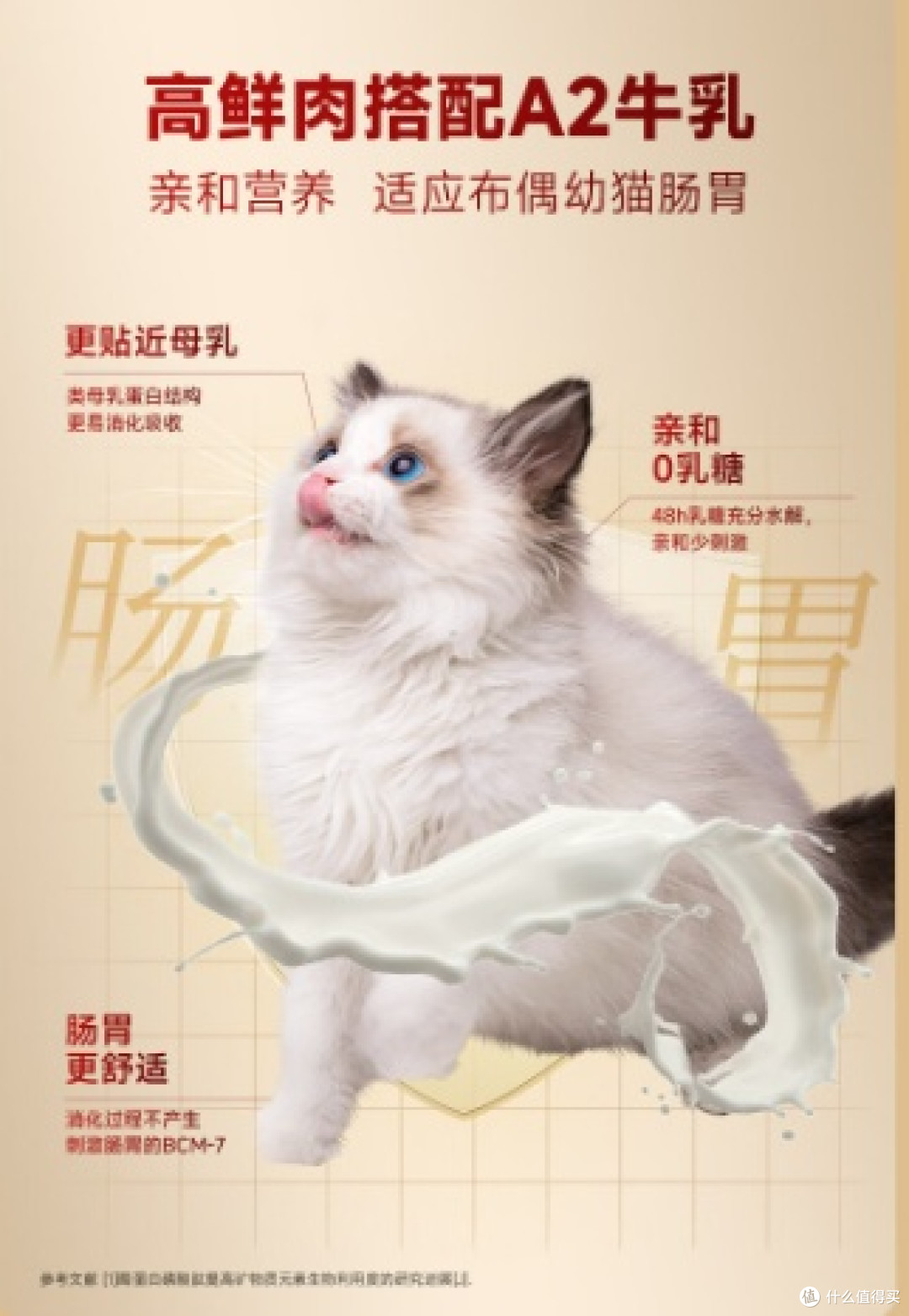 玻璃胃布偶选粮心得:从肠胃到毛发关节全方位照顾,养出好体态