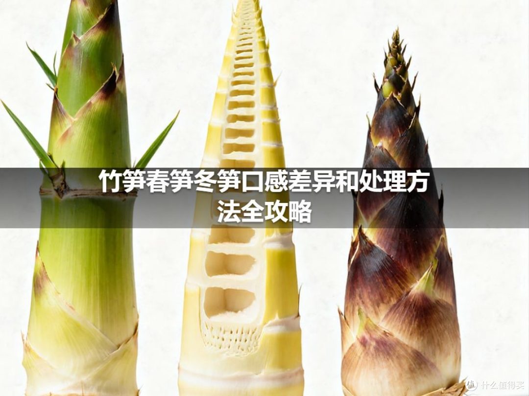 竹笋春笋冬笋口感差异和处理方法全攻略