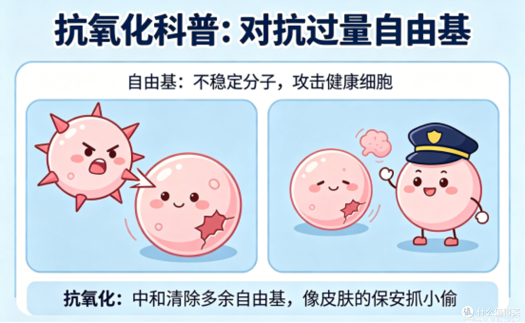 抗老就是抗氧化,抗氧化到底在抗什么?网友的讨论整理