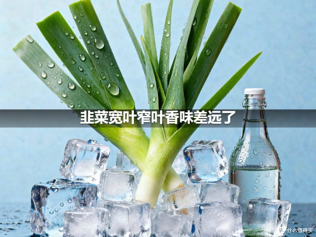 韭菜宽叶窄叶香味差远了
