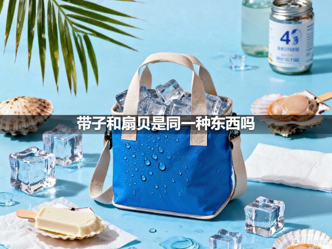 带子和扇贝是同一种东西吗